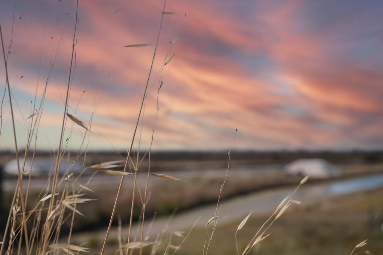 Le Parc Des Mimosas Villa Noirmoutier-en-l'Ile Exteriör bild