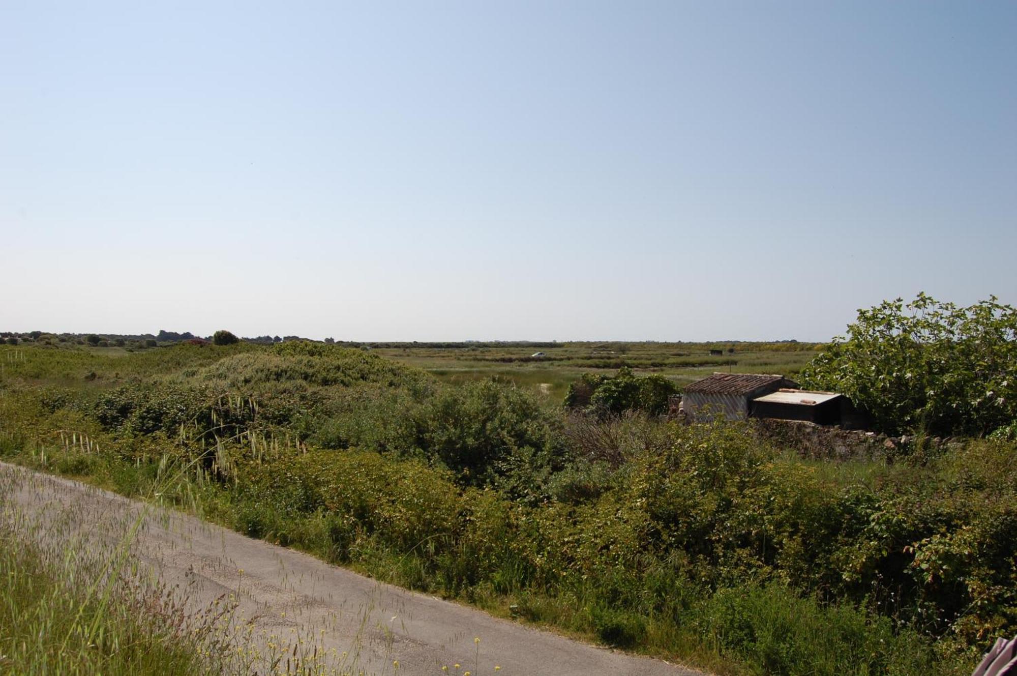 Le Parc Des Mimosas Villa Noirmoutier-en-l'Ile Exteriör bild
