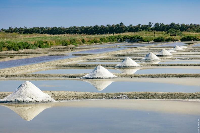Le Parc Des Mimosas Villa Noirmoutier-en-l'Ile Exteriör bild