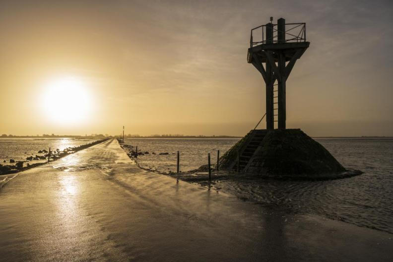 Le Parc Des Mimosas Villa Noirmoutier-en-l'Ile Exteriör bild
