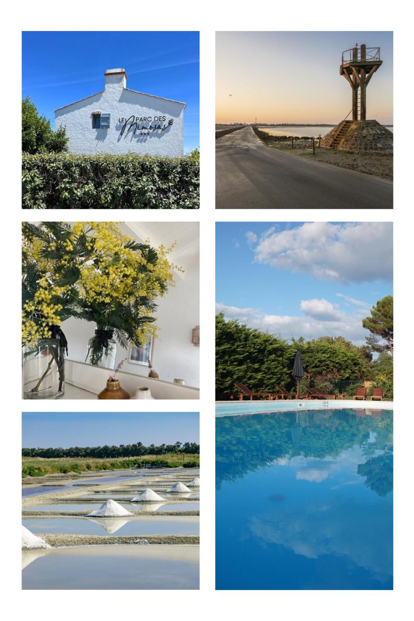 Le Parc Des Mimosas Villa Noirmoutier-en-l'Ile Exteriör bild
